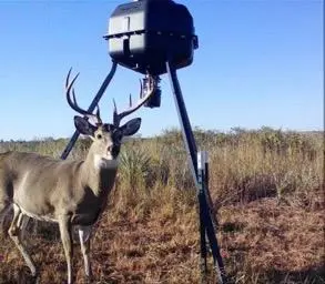 N County Road 1670, Vinson, OK 73571 - #1