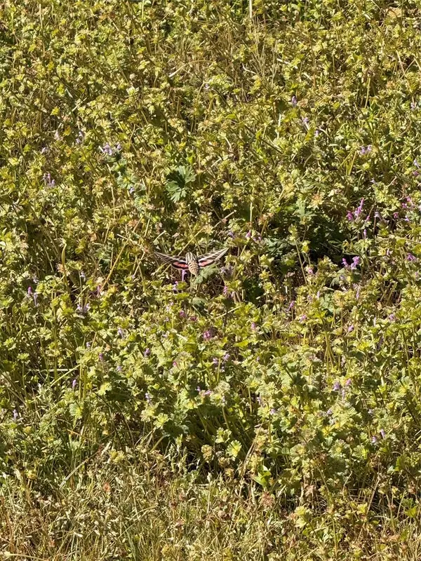 200 N Lakeview Street, Broken Bow, OK 74728