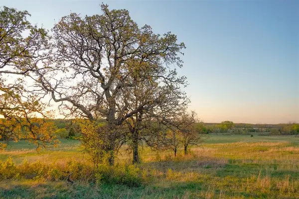 19543 NE 164th Street, Luther, OK 73054