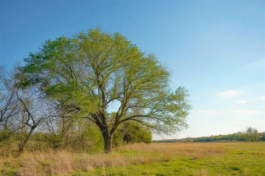 19545 NE 164th Street, Luther, OK 73054 - #2