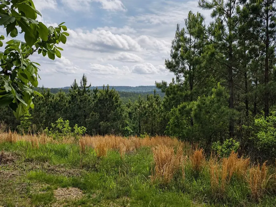 158 Legacy Ridge Trail, Broken Bow, OK 74728 - #2