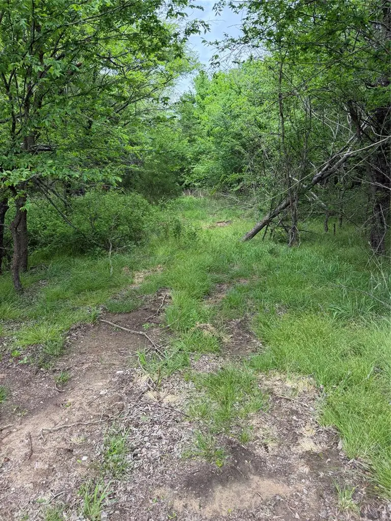 000 E 124 Road, Wetumka, OK 74883 - #3