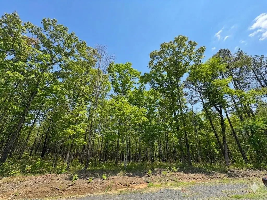 2 Hillside Way, Watson, OK 74957 - #1
