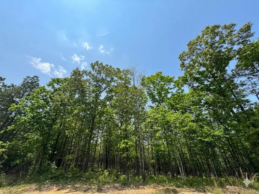 2 Hillside Way, Watson, OK 74957 - #3