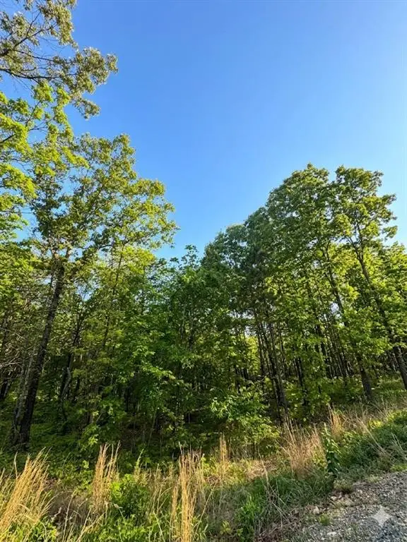 3 Vista Ridge Trail, Watson, OK 74957 - #2