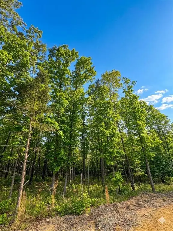 4 Vista Ridge Trail, Watson, OK 74957 - #2