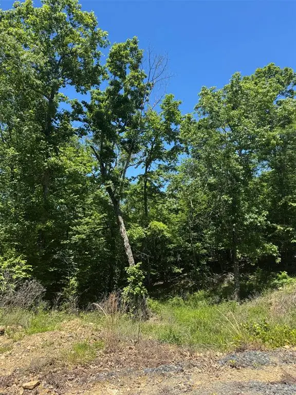 20 Vista Ridge Trail, Broken Bow, OK 74728