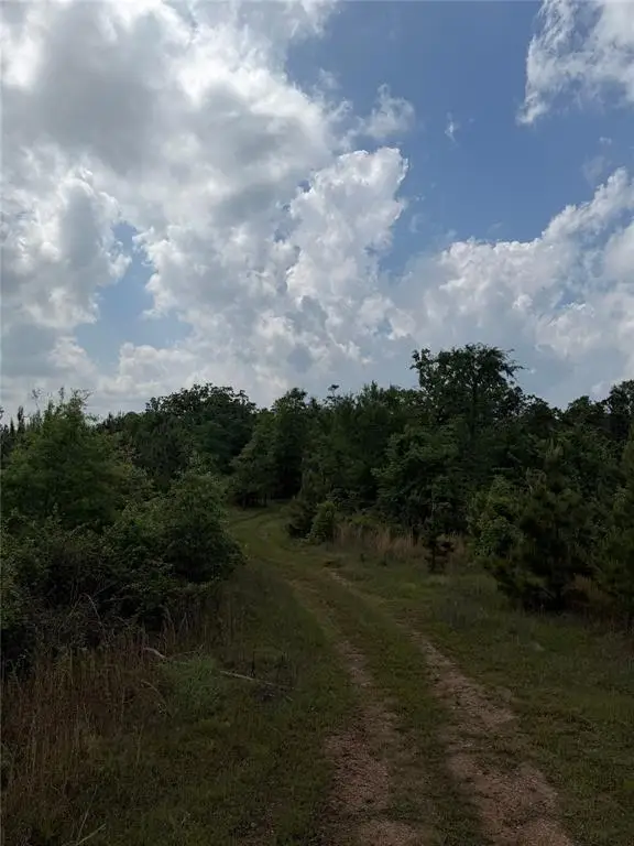 Bullard Lane, Wright City, OK 74766