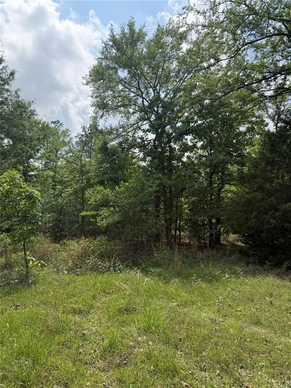 Bullard Lane, Wright City, OK 74766 - #2