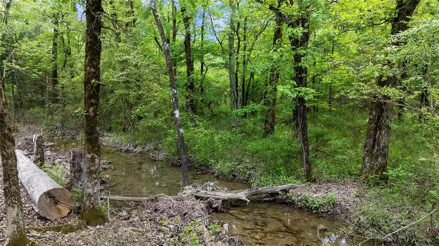 221 Red Holly Trail, Broken Bow, OK 74728 - #2