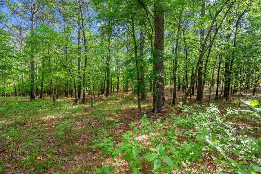 640 NE Three Creeks Road #lot 40, Broken Bow, OK 74728 - #2