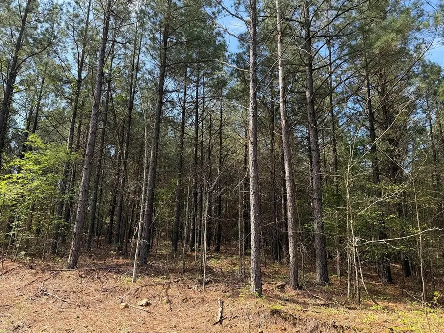 51 Aged Acacia Trail, Broken Bow, OK 74728 - #3