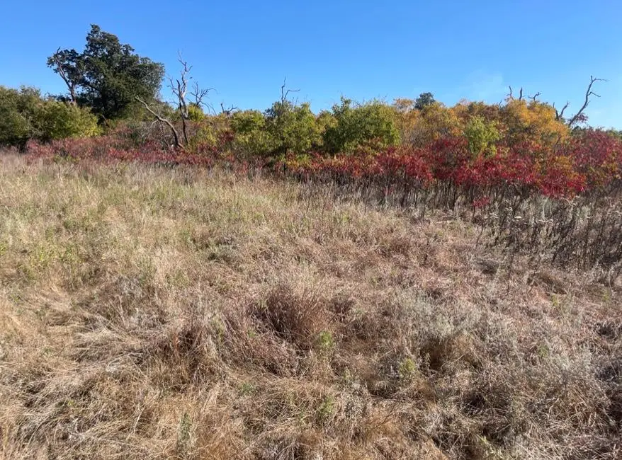 NW Kiowa Drive, Lawton, OK 73507 - #3
