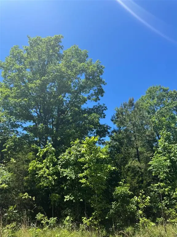 23 Vista Ridge Trail, Watson, OK 74957 - #2
