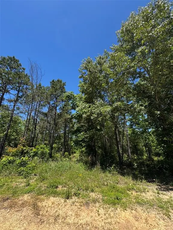 24 Vista Ridge Trail, Watson, OK 74957 - #1