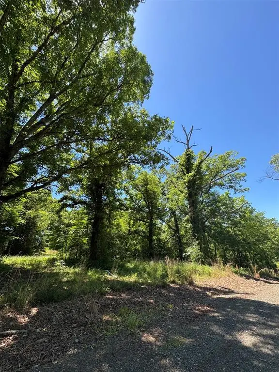 24 Vista Ridge Trail, Watson, OK 74957 - #2