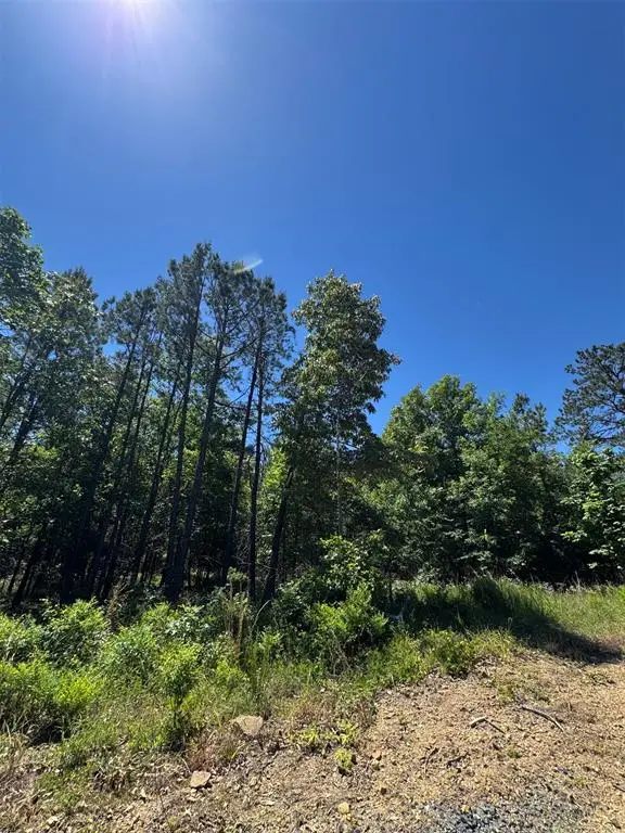 24 Vista Ridge Trail, Watson, OK 74957 - #3