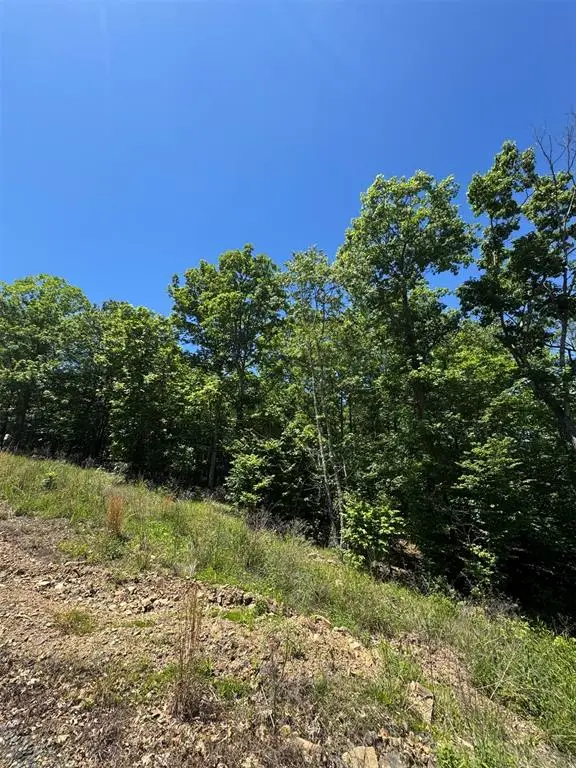 27 Mountain Bluff Trail, Watson, OK 74957 - #3