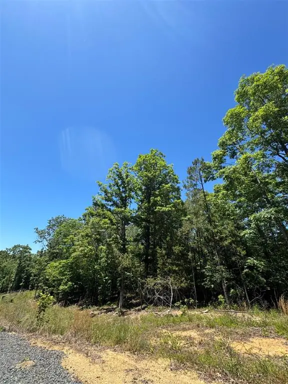 36 Starry Night Court, Watson, OK 74957 - #2