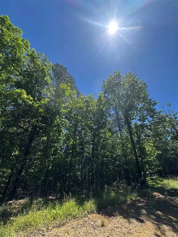 38 Mountain Bluff Trail, Watson, OK 74957 - #2