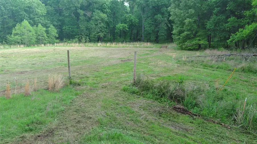 Savage Road, Daisy, OK 74540 - #2