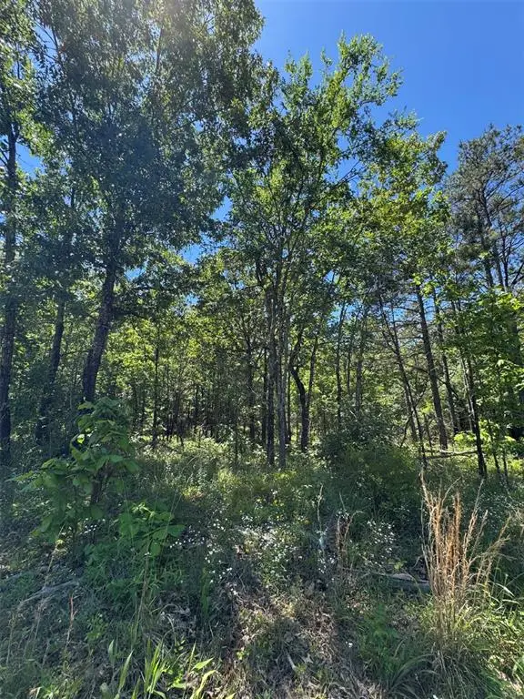 48 Hillside Way, Watson, OK 74957 - #2