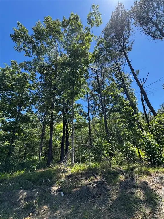 50 Vista Ridge Trail, Watson, OK 74957