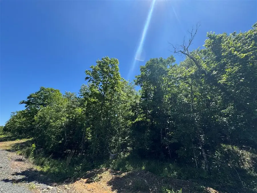 54 Vista Ridge Trail, Watson, OK 74957 - #3