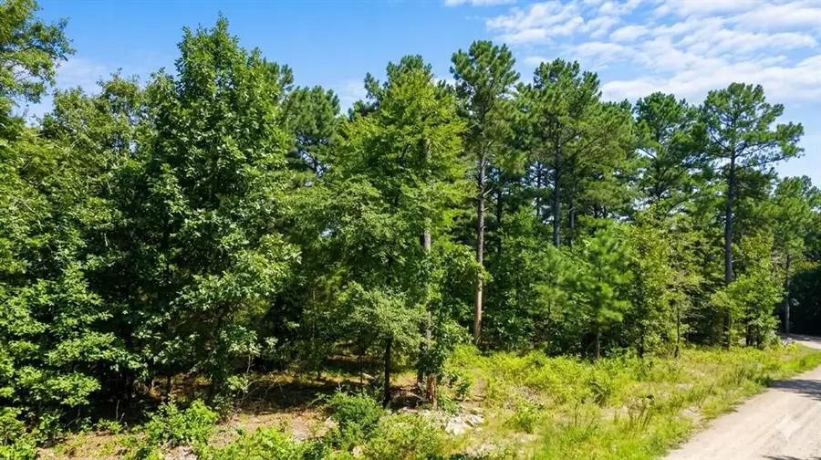 176 Xpress Lane, Hochatown, OK 74728 - #2