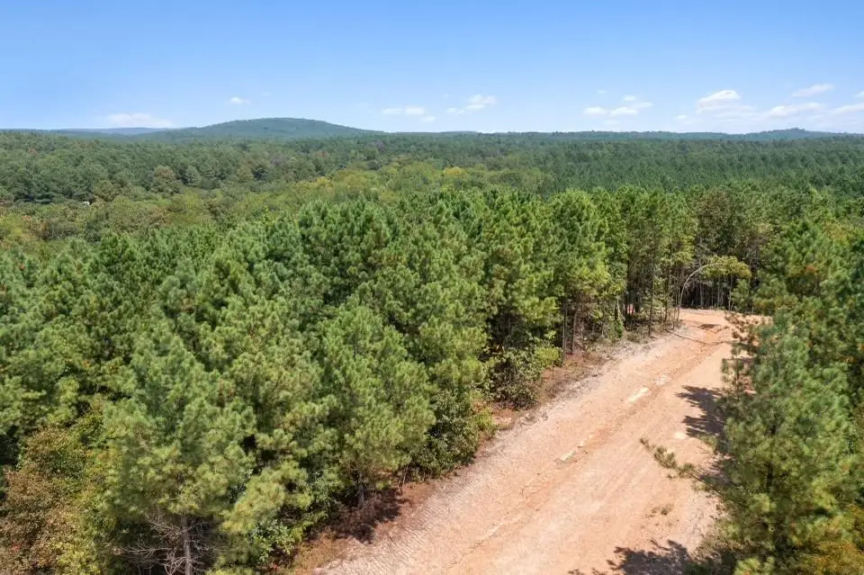 309 Stump End Lane, Broken Bow, OK 74728 - #1