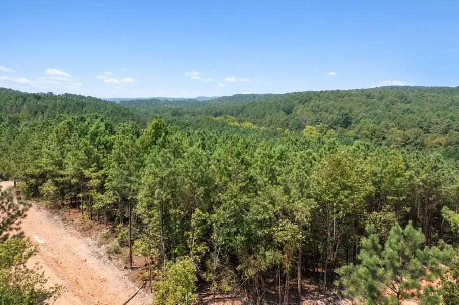 309 Stump End Lane, Broken Bow, OK 74728 - #3
