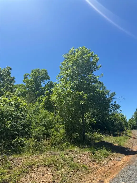 57 Vista Ridge Trail, Watson, OK 74957 - #1