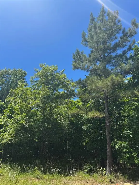 59 Vista Ridge Trail, Watson, OK 74957