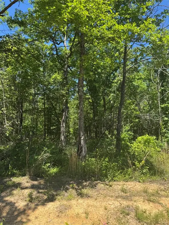 63 Hillside Way, Watson, OK 74957 - #1
