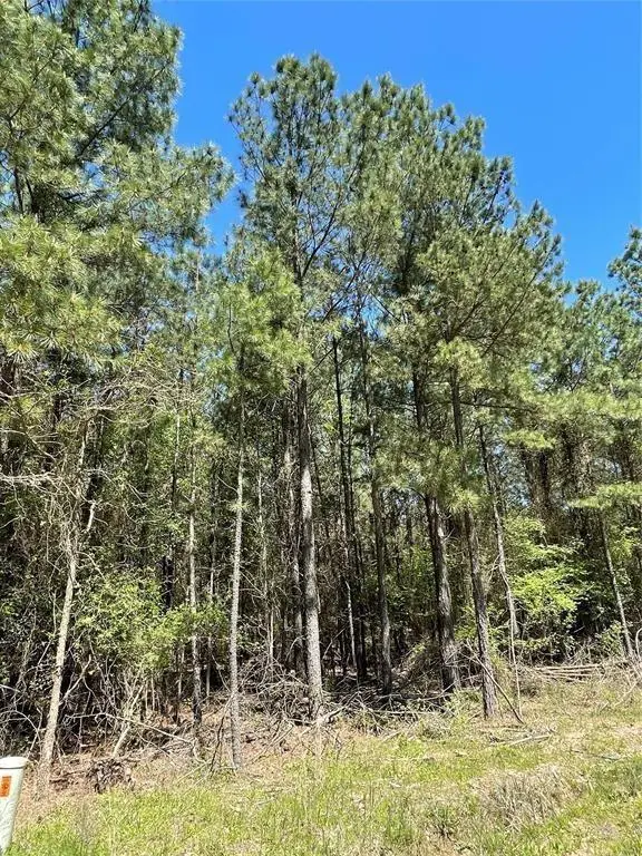 399 Camp Ranch Road, Broken Bow, OK 74728 - #2