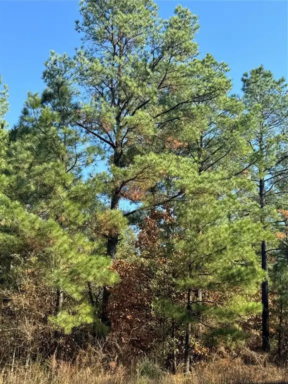 205 Bear Cedar Trail, Broken Bow, OK 74728 - #3
