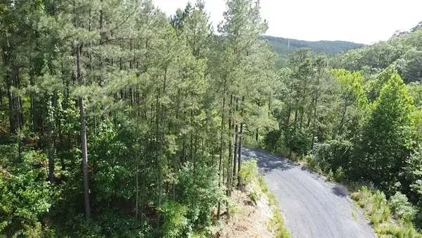 635 Virginia Pine Place, Broken Bow, OK 74728