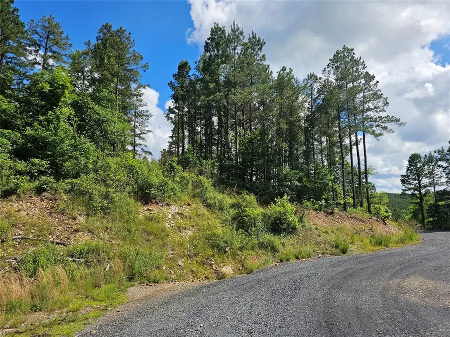 635 Virginia Pine Place, Broken Bow, OK 74728 - #3