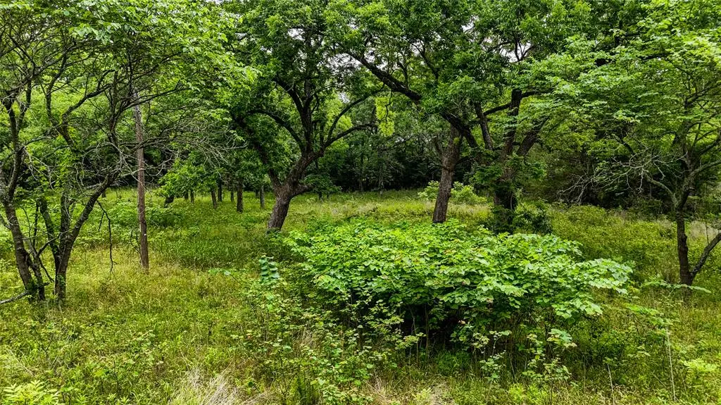0000 Moble Road, Stonewall, OK 74871 - #1