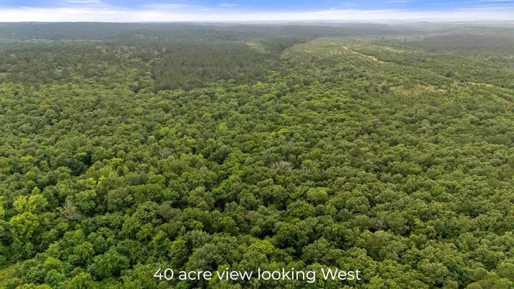 219 Lost Hazel Trail, Broken Bow, OK 74728 - #1