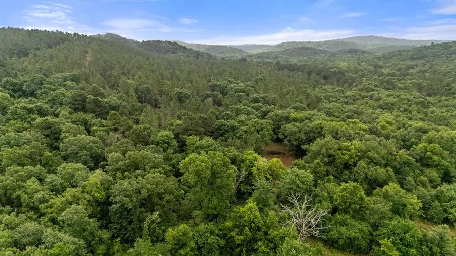219 Lost Hazel Trail, Broken Bow, OK 74728 - #2