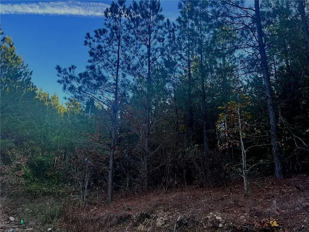 160 Red Fern Trail, Broken Bow, OK 74728 - #1