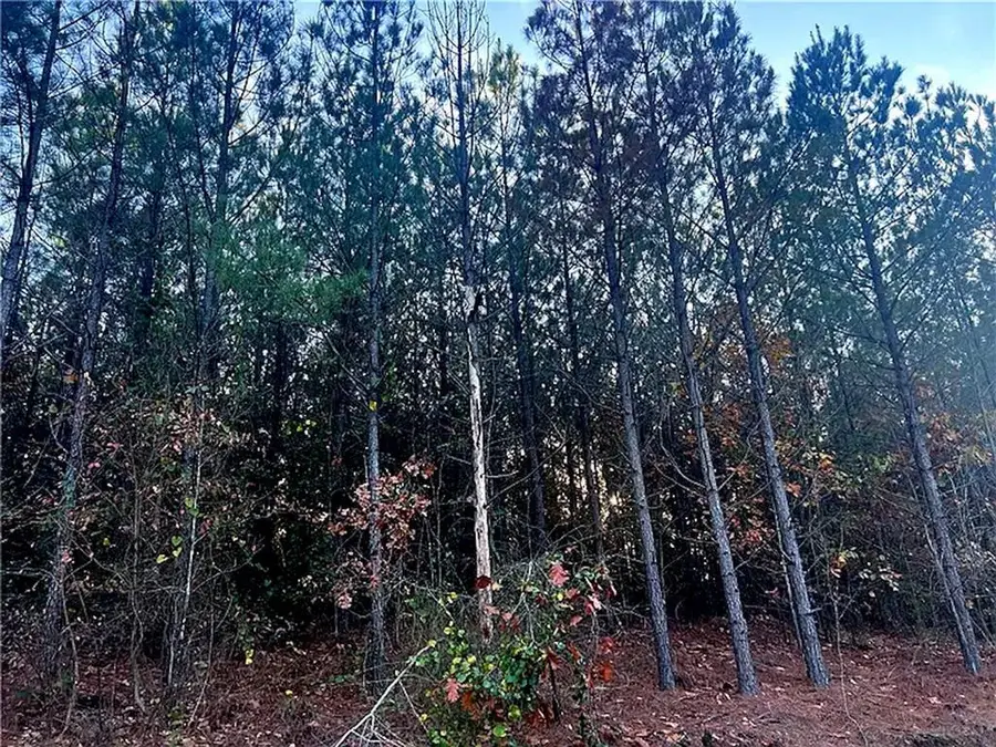 160 Red Fern Trail, Broken Bow, OK 74728 - #2