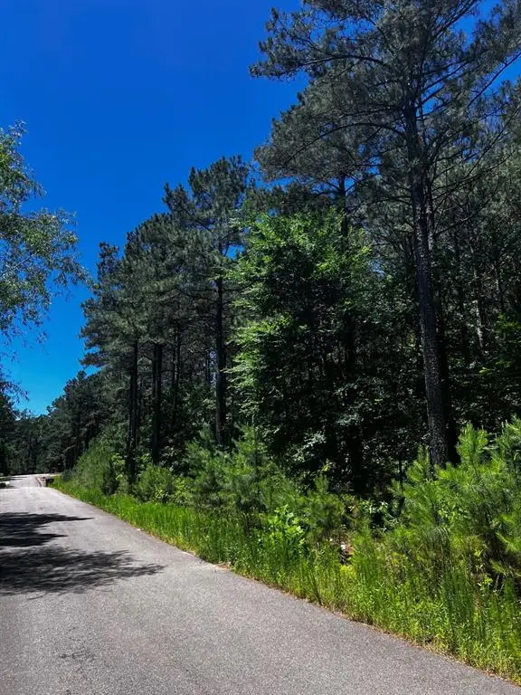 83 Pleasant Cypress Trail, Broken Bow, OK 74728 - #1