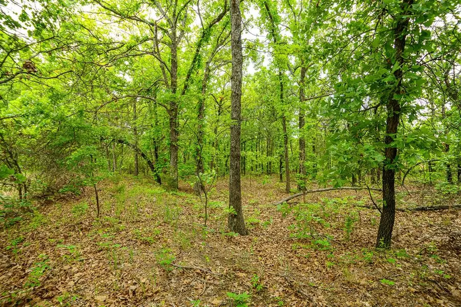 S 299th West Avenue, Bristow, OK 74010 - #2