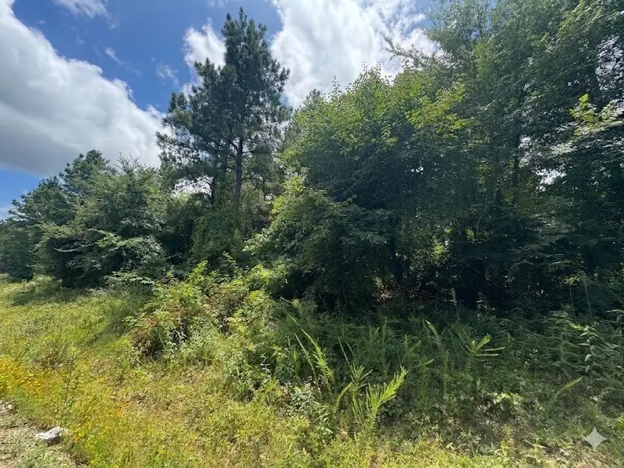 18 Boulder Path, Hochatown, OK 74728 - #2