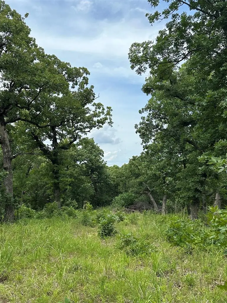 14314 Indian Ridge, Newalla, OK 74857 - #2