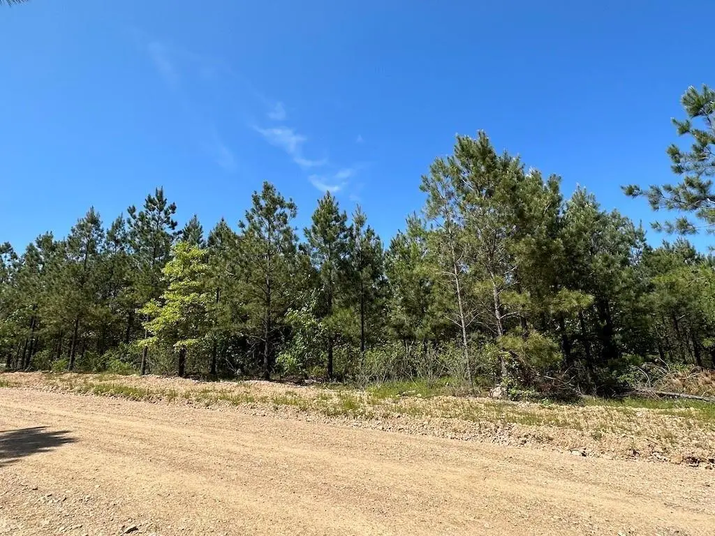 135 Crooked Stick Trail, Broken Bow, OK 74728 - #1