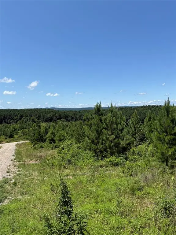 94 Rose Hill Trail, Broken Bow, OK 74728 - #3