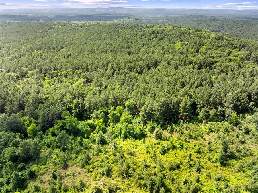 608 Woodsman Trail, Broken Bow, OK 74728 - #3